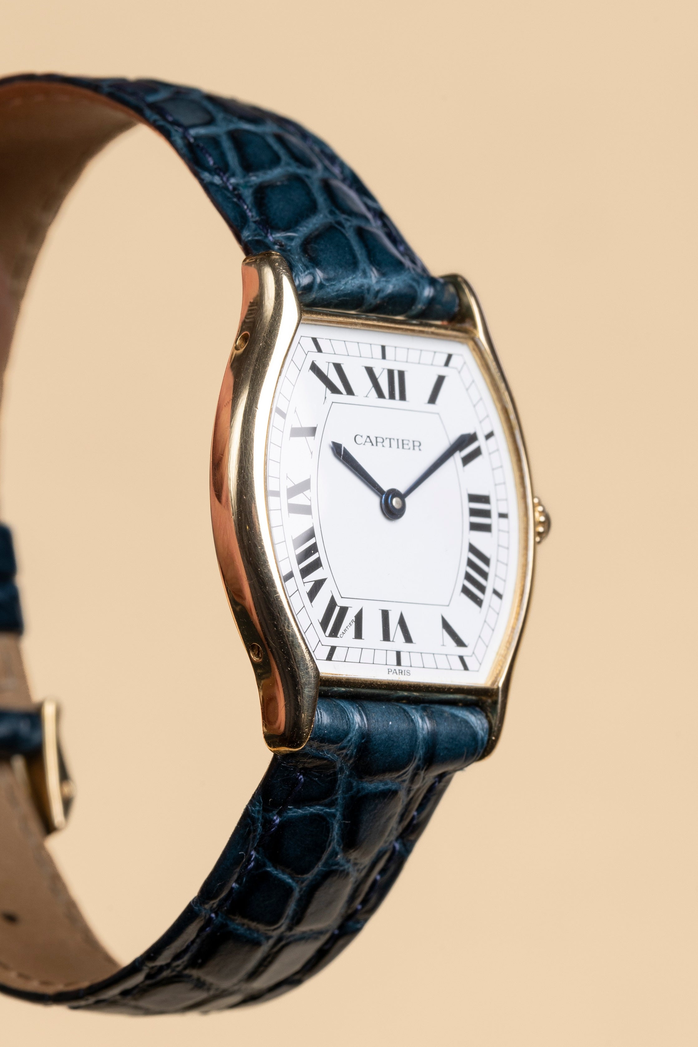 Cartier Tortue Dauphine